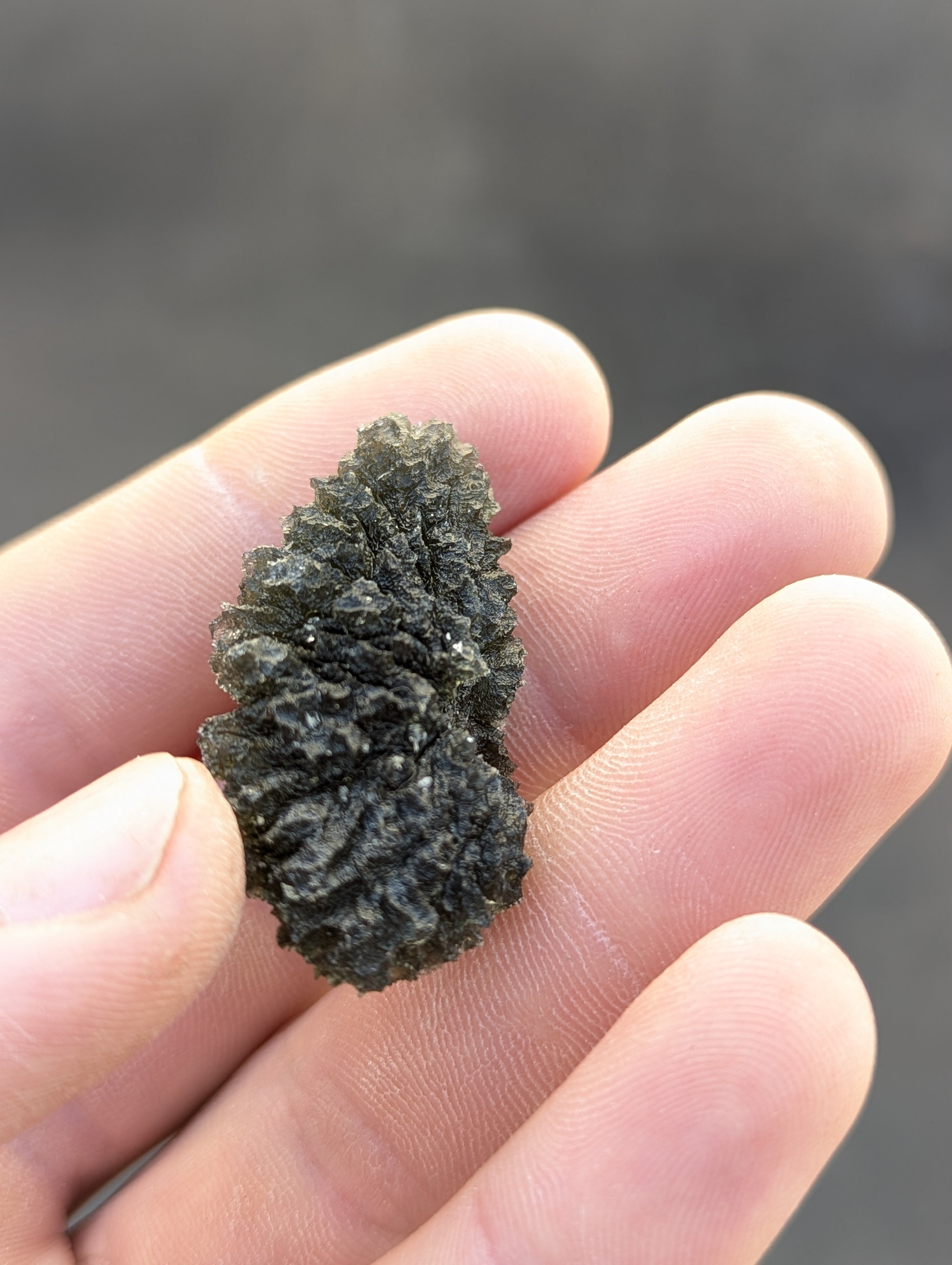 Bohemian Moldavite – Dobrkovská Lhotka | 14.46 g | Drop-Shaped Collector Specimen with Lechatelierite
