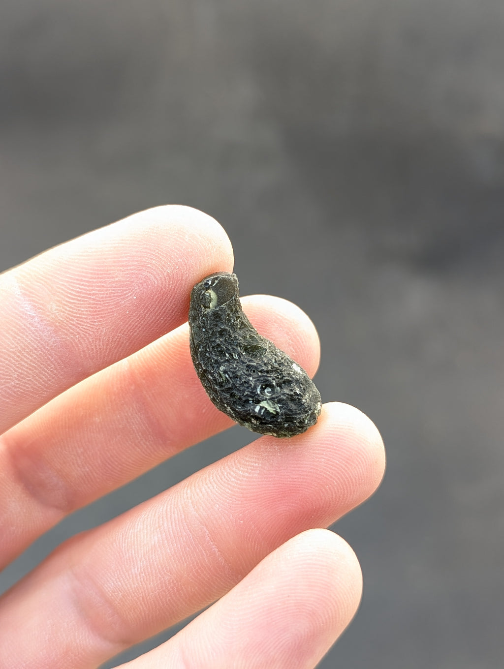Bohemian Moldavite – Jankov | 5.53 g | Drop-Shaped Collector Specimen