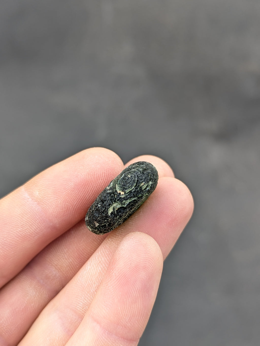 Bohemian Moldavite – Jankov | 9.54 g | Apple Green Disk-Shaped Specimen