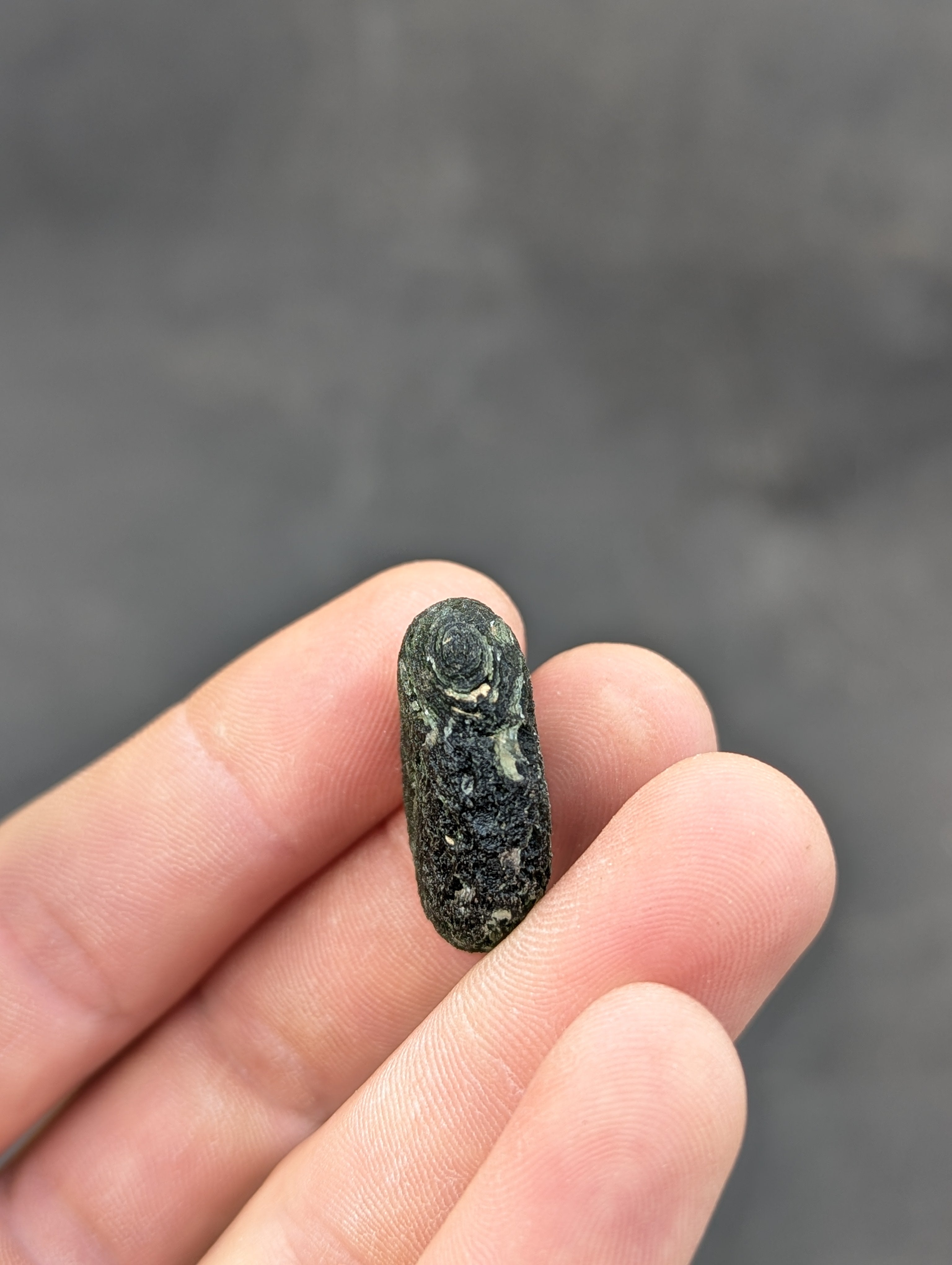 Bohemian Moldavite – Jankov | 9.54 g | Apple Green Disk-Shaped Specimen