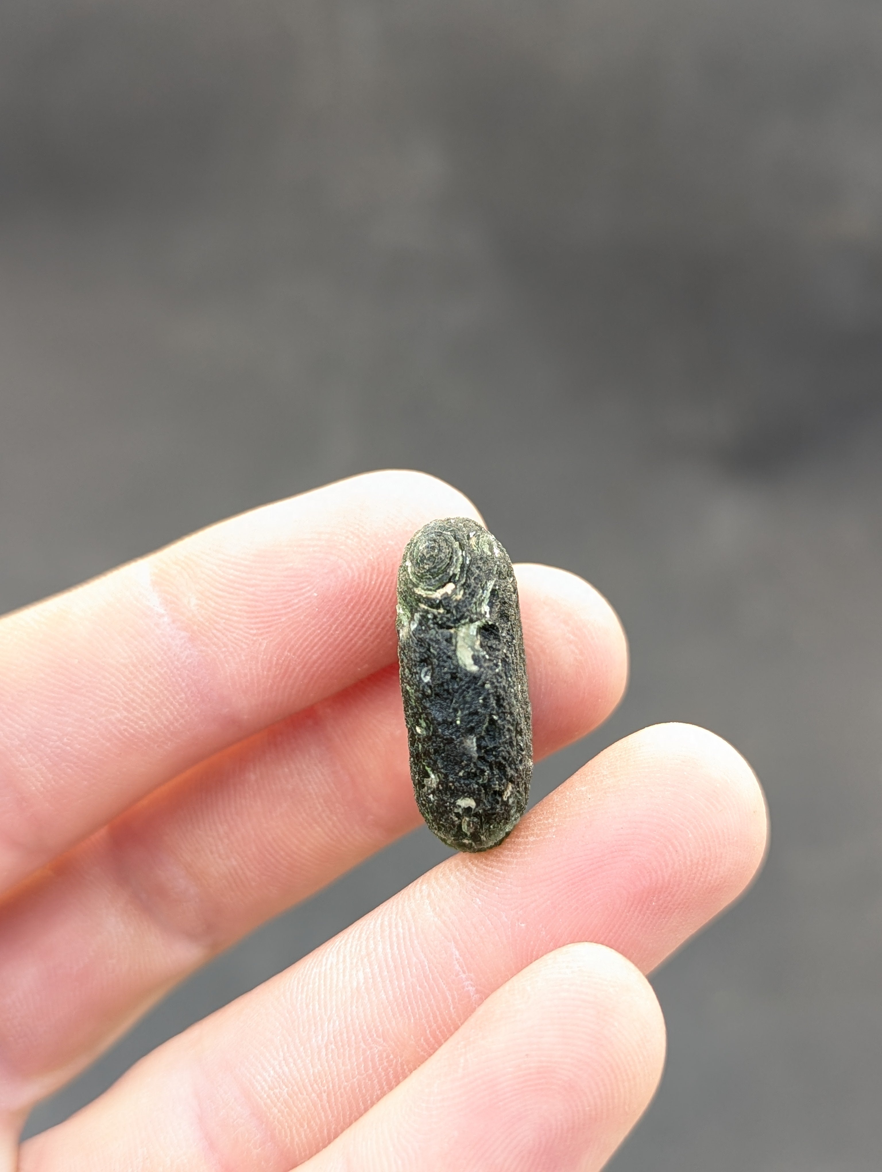 Bohemian Moldavite – Jankov | 9.54 g | Apple Green Disk-Shaped Specimen