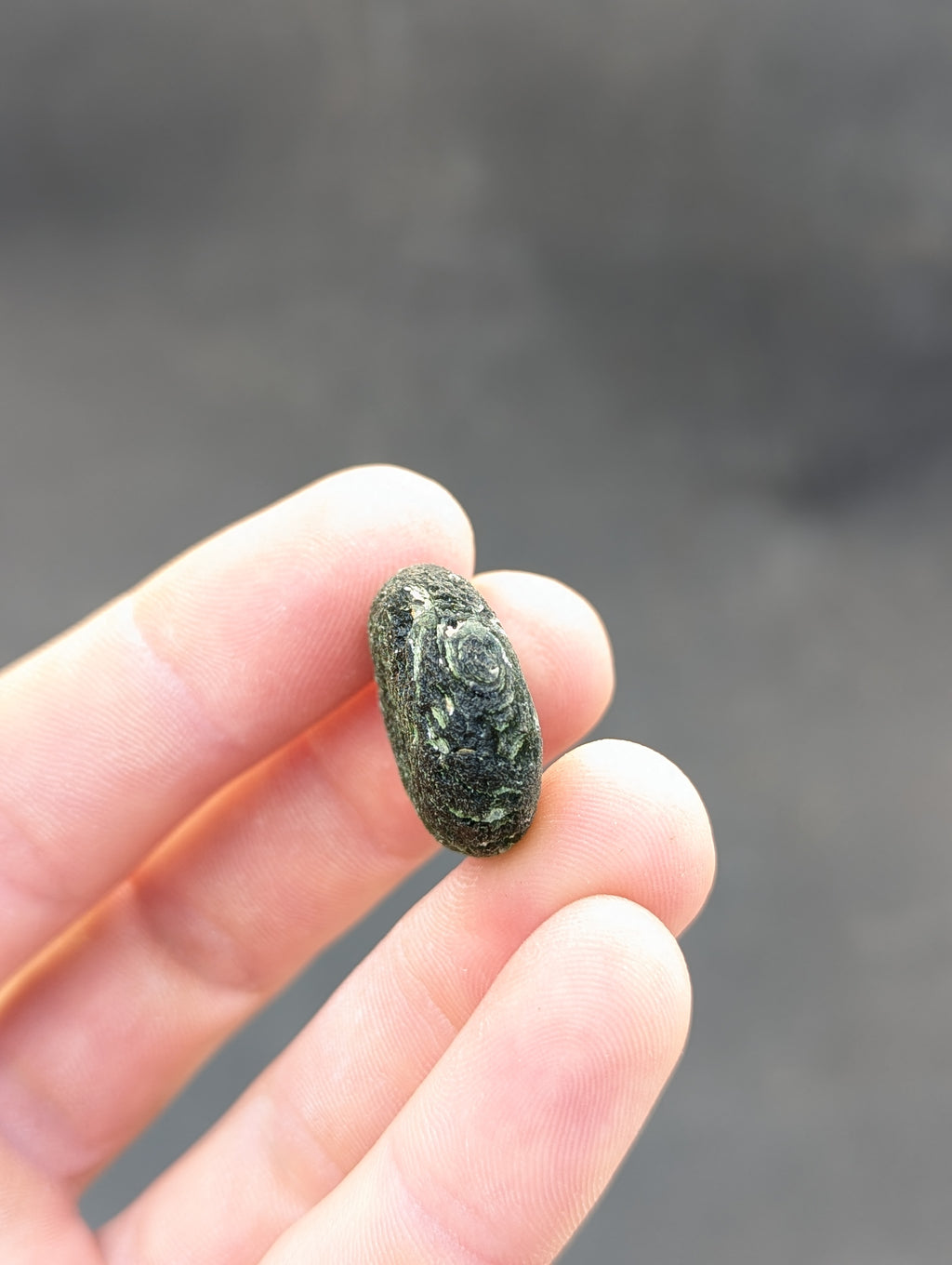 Bohemian Moldavite – Jankov | 9.54 g | Apple Green Disk-Shaped Specimen