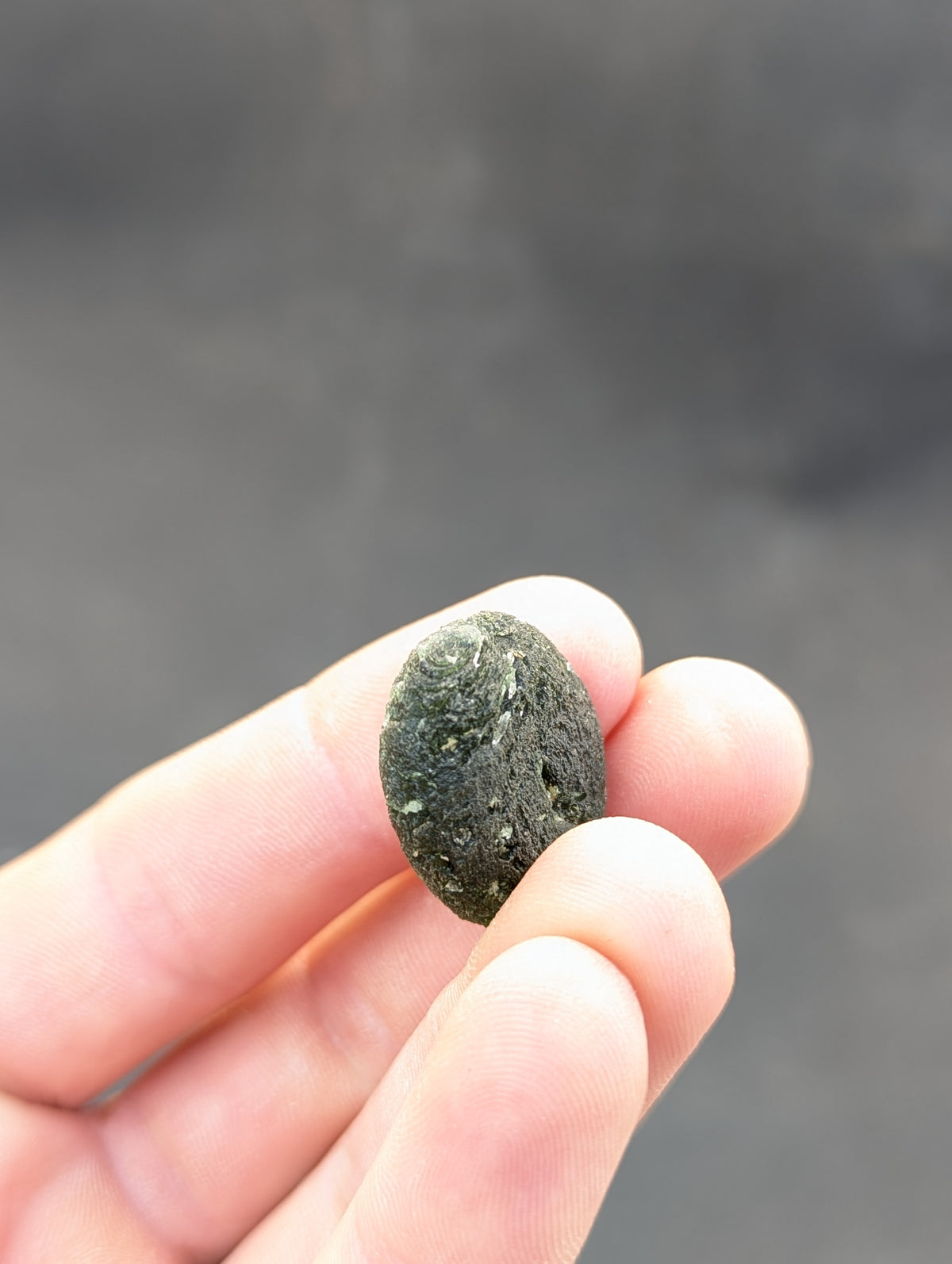 Bohemian Moldavite – Jankov | 9.54 g | Apple Green Disk-Shaped Specimen