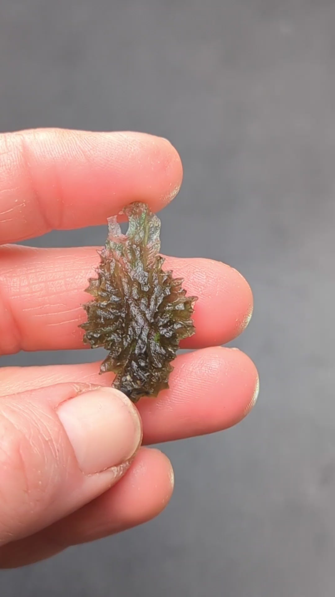 Natural Moldavite from the Besednice Ježkovna locality with sharp hedgehog sculpture, pronounced spikes and authentic natural relief. Weight 2.35 g - video.