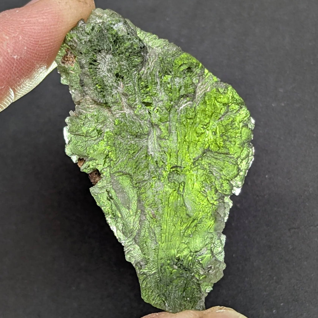 Natural Brusná moldavite 15.67 g with frosty velvet surface (pyramidal micro-sculpting) and sculpted broccoli-like - texture - front view, backlight.