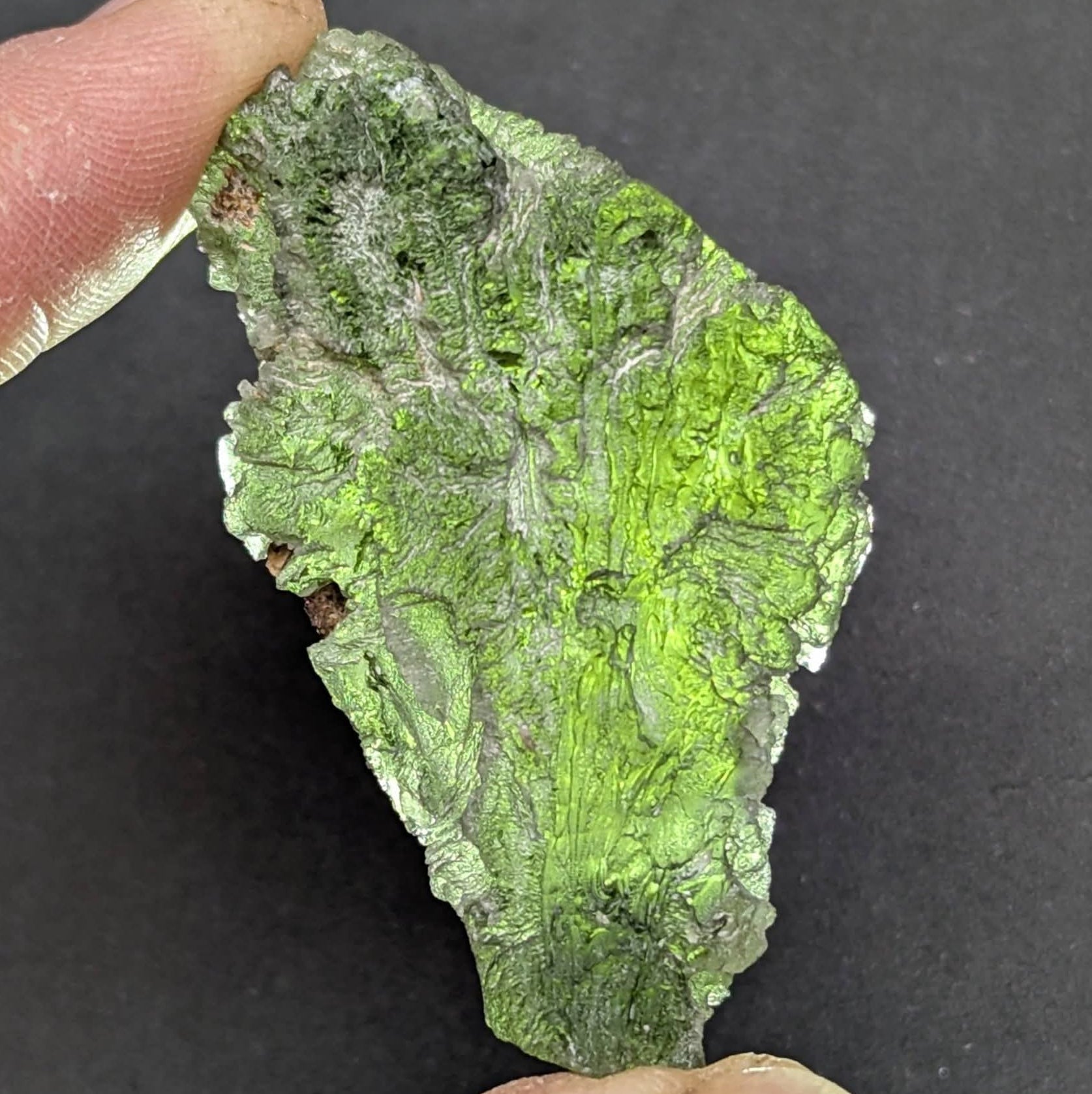 Natural Brusná moldavite 15.67 g with frosty velvet surface (pyramidal micro-sculpting) and sculpted broccoli-like - texture - front view, backlight.