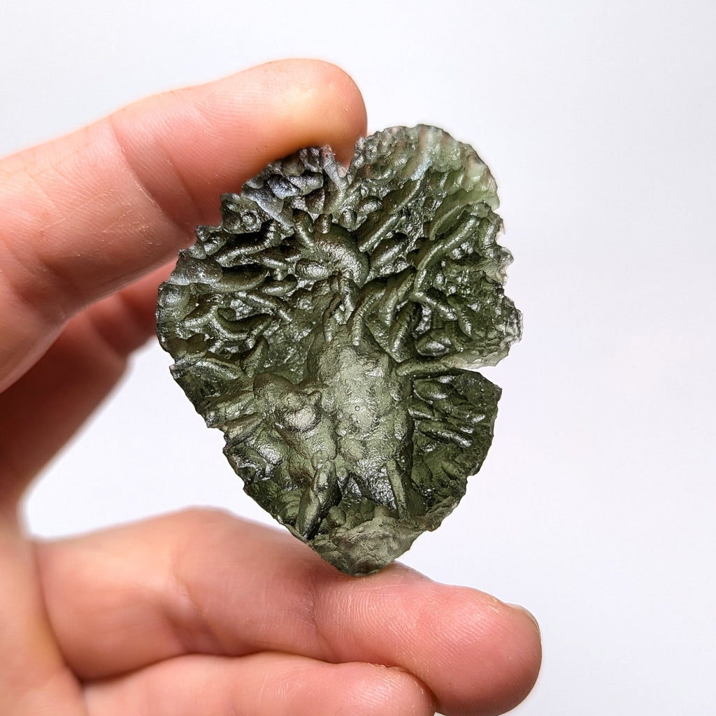 Natural Moldavite from the Besednice Ježkovna locality with pronounced hedgehog-like sculpture, deep radial relief and richly textured surface on white background - front view.