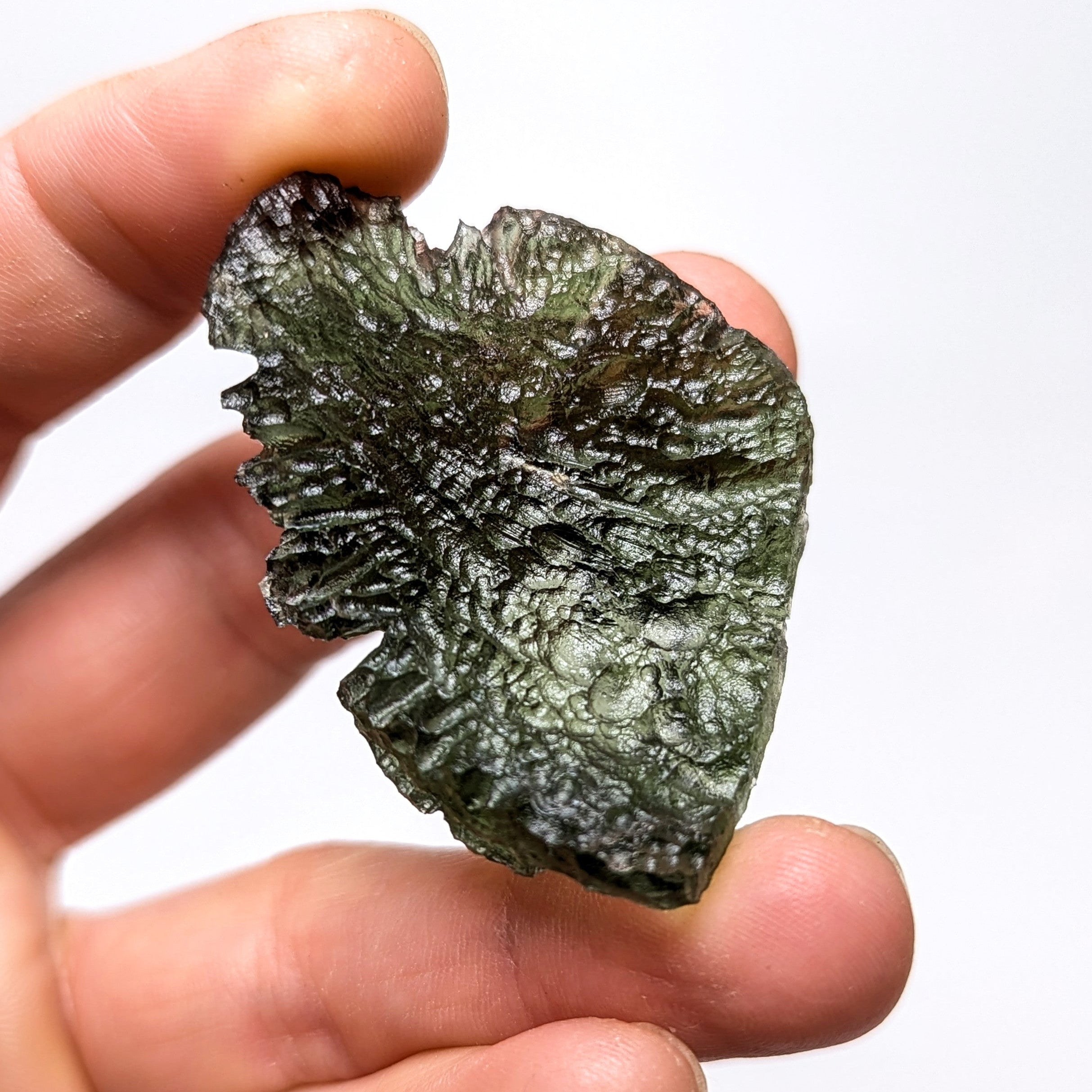 Natural Moldavite from the Besednice Ježkovna locality with pronounced hedgehog-like sculpture, deep radial relief and richly textured surface on white background - back side.