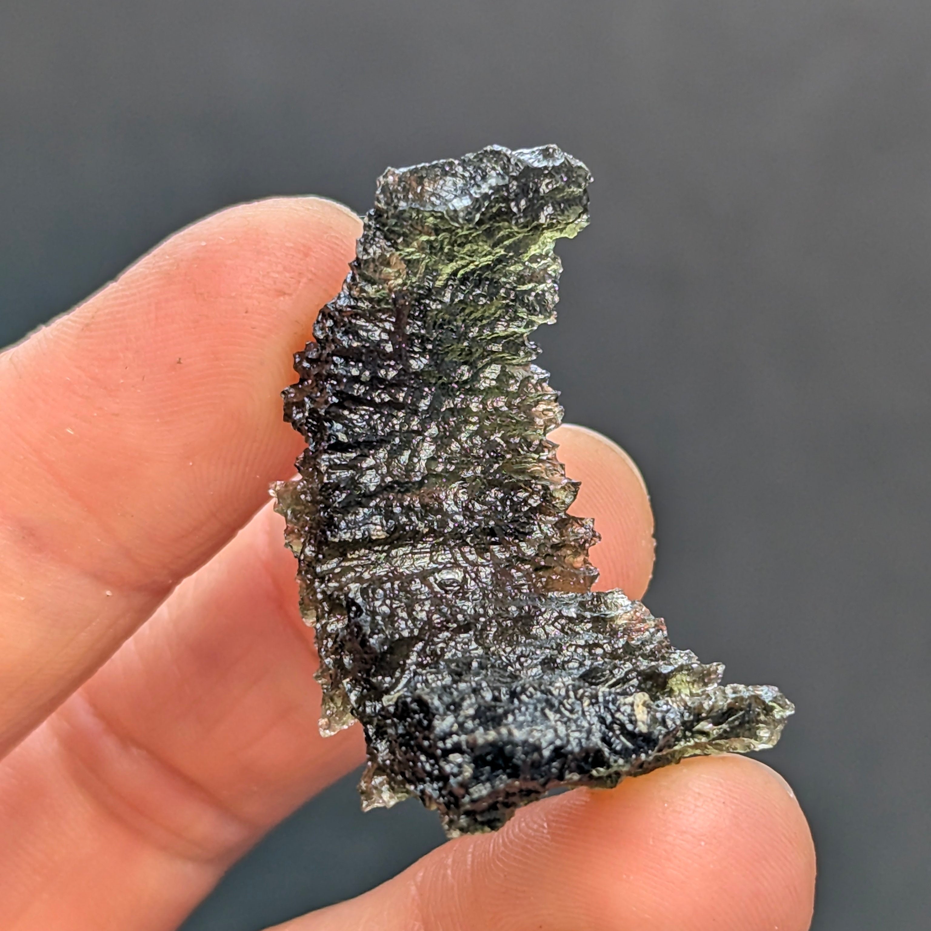 Rare “angel chime” Moldavite from the Olešnice locality in hand with thin hollow structure, sharp radial sculpture, golden green translucency and pointed natural relief - back side.