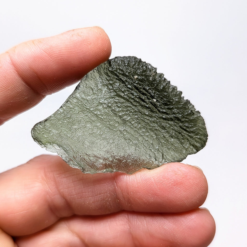 Natural Moldavite from the Olešnice locality with flat fan-like shape resembling a leaf, widening toward one edge and olive green translucency on white background - front view.
