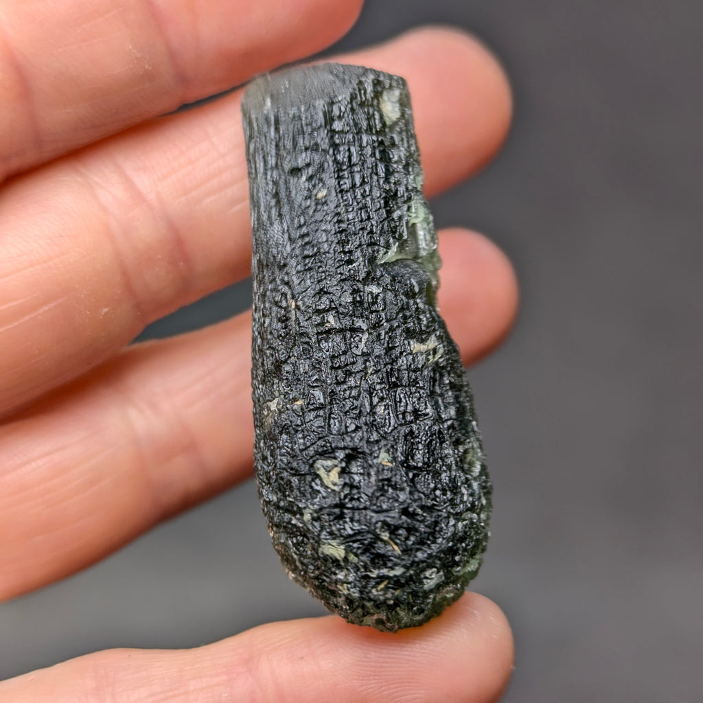 Natural Moldavite from the Jankov locality in hand, front view with elongated drop-like shape, tree bark sculpture, dark olive green translucency and authentic natural relief. Weight 15.62 g - back side.
