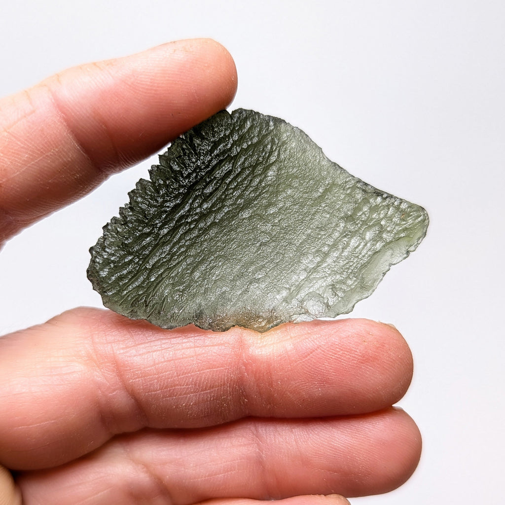 Natural Moldavite from the Olešnice locality with flat fan-like shape resembling a leaf, widening toward one edge and olive green translucency on white background - back side.