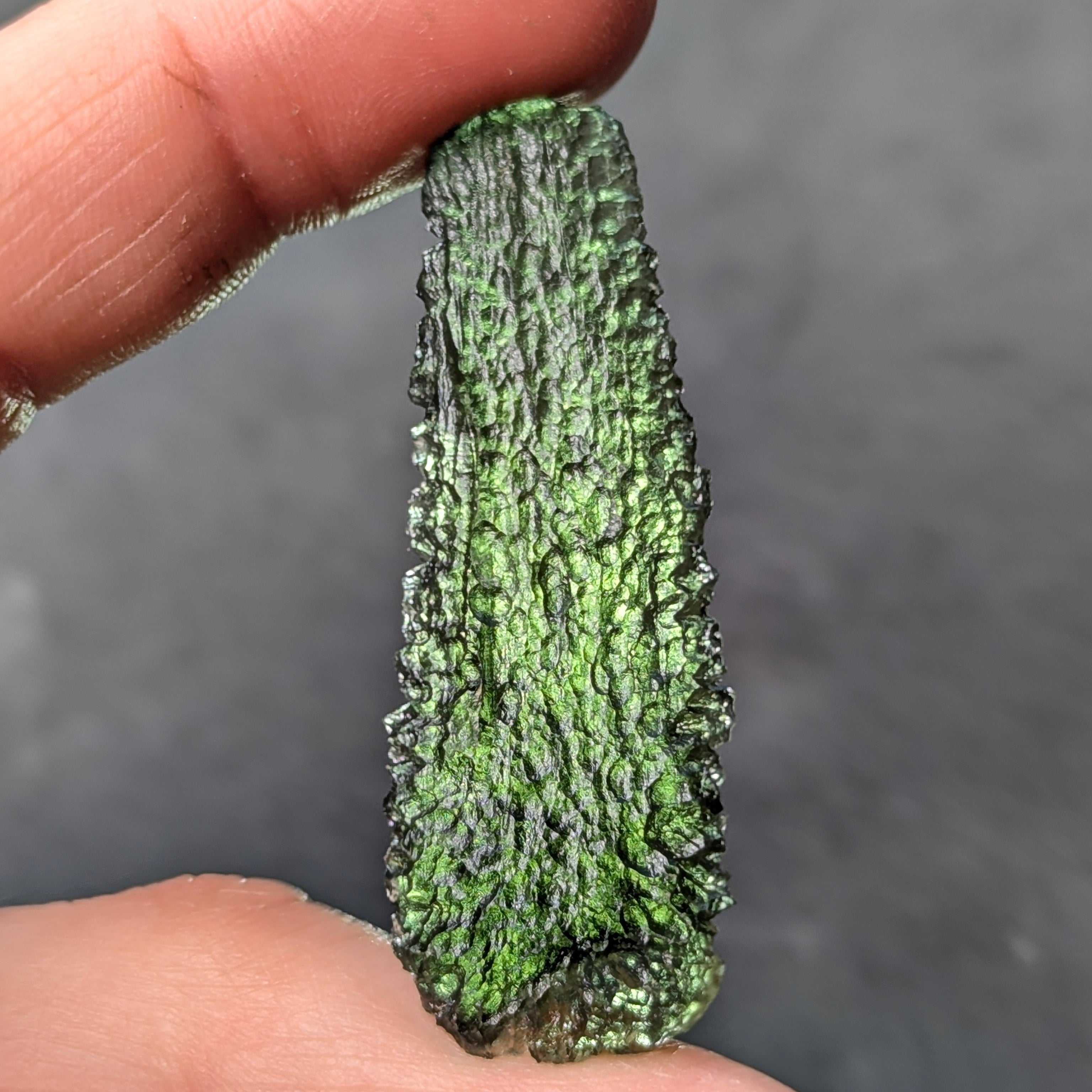 Natural Moldavite from the Malý Chlum locality in hand with exceptionally elongated shape, tree bark sculpture, pronounced etching, olive green translucency and authentic natural relief - back side, backlight.