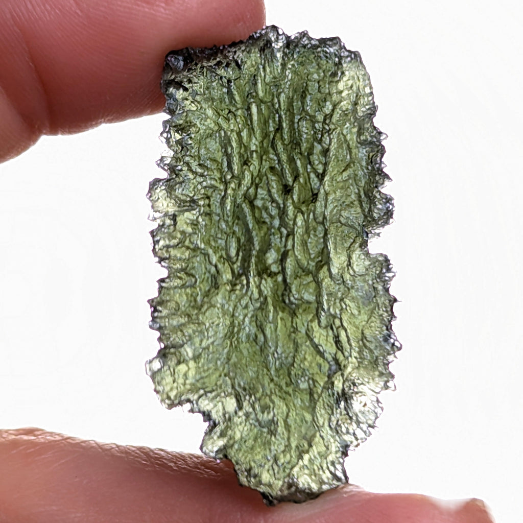 Natural Moldavite from the Dobrovská Lhotka – Bažina locality with rich sculpture, serrated edges, saturated olive green color and pronounced surface texture in hand - front view, natural transluency.