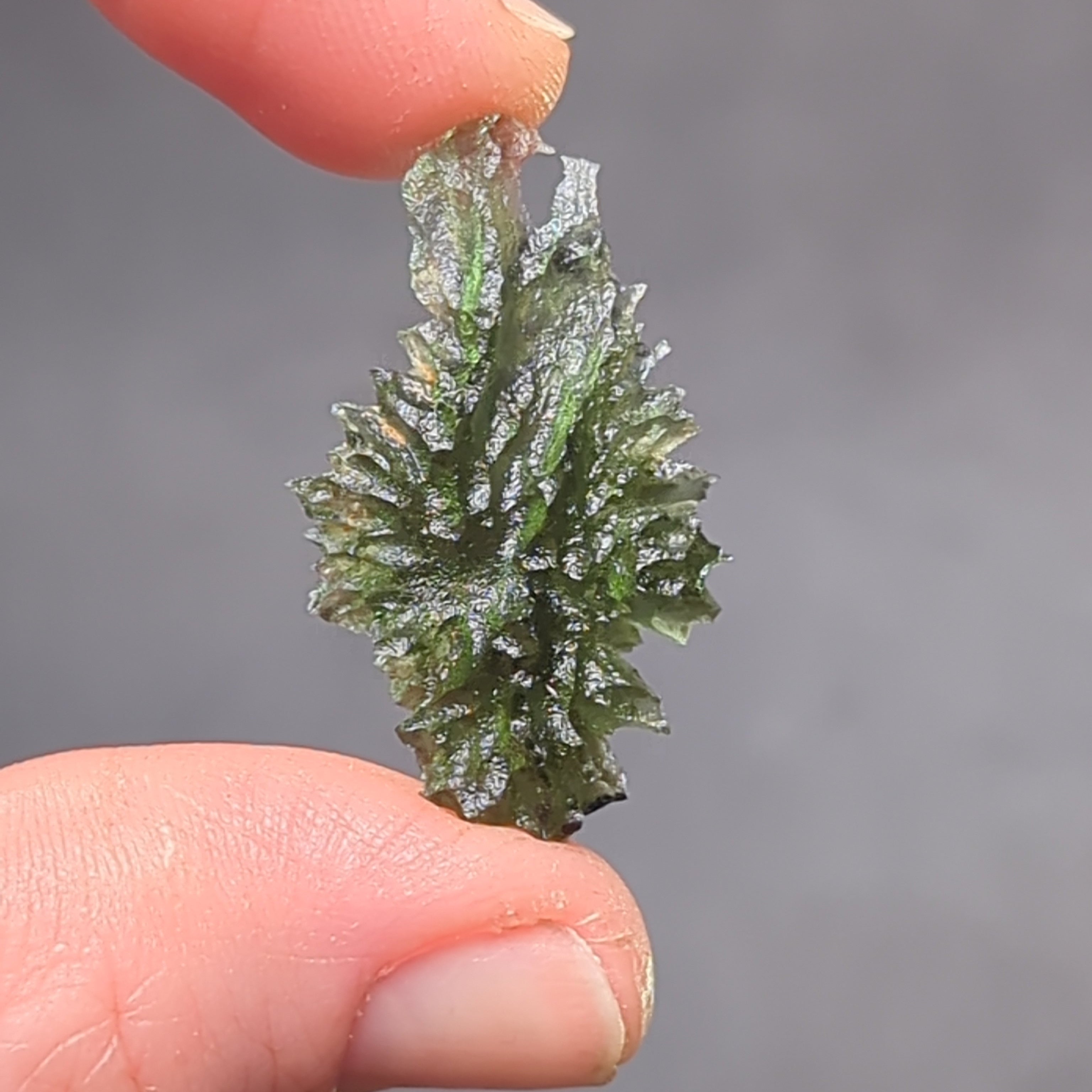 Natural Moldavite from the Besednice Ježkovna locality with sharp hedgehog sculpture, pronounced spikes and authentic natural relief. Weight 2.35 g - front view.