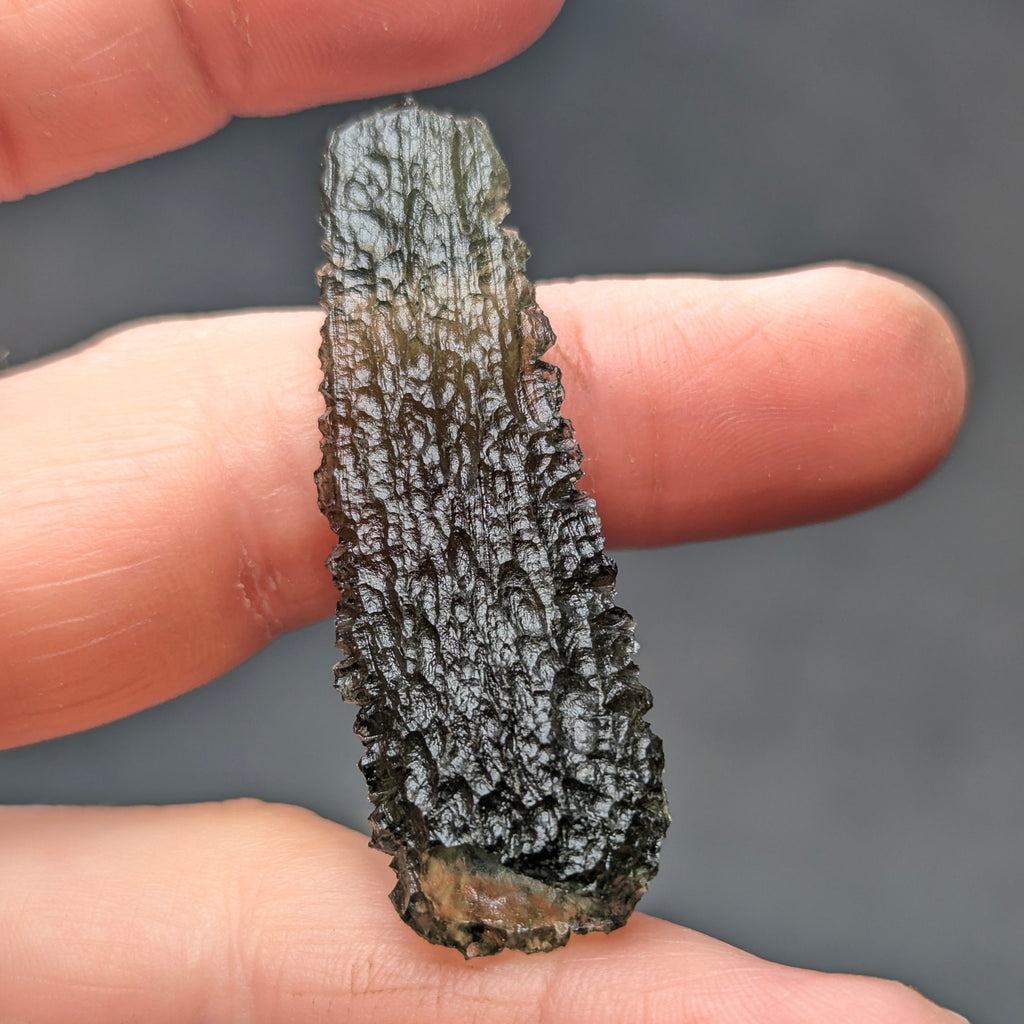 Natural Moldavite from the Malý Chlum locality in hand with exceptionally elongated shape, tree bark sculpture, pronounced etching, olive green translucency and authentic natural relief - back side.