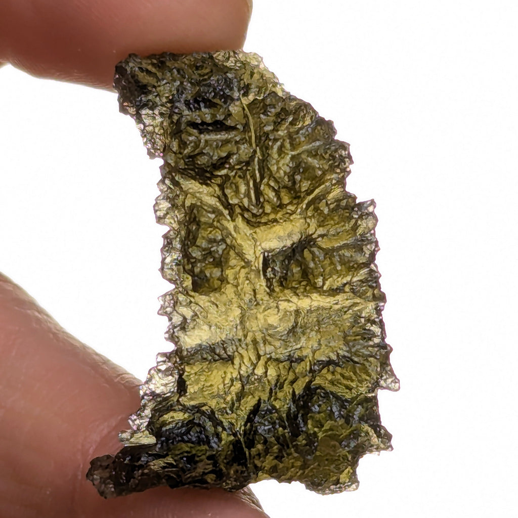 Rare “angel chime” Moldavite from the Olešnice locality in hand with thin hollow structure, sharp radial sculpture, golden green translucency and pointed natural relief - front view, backlight.