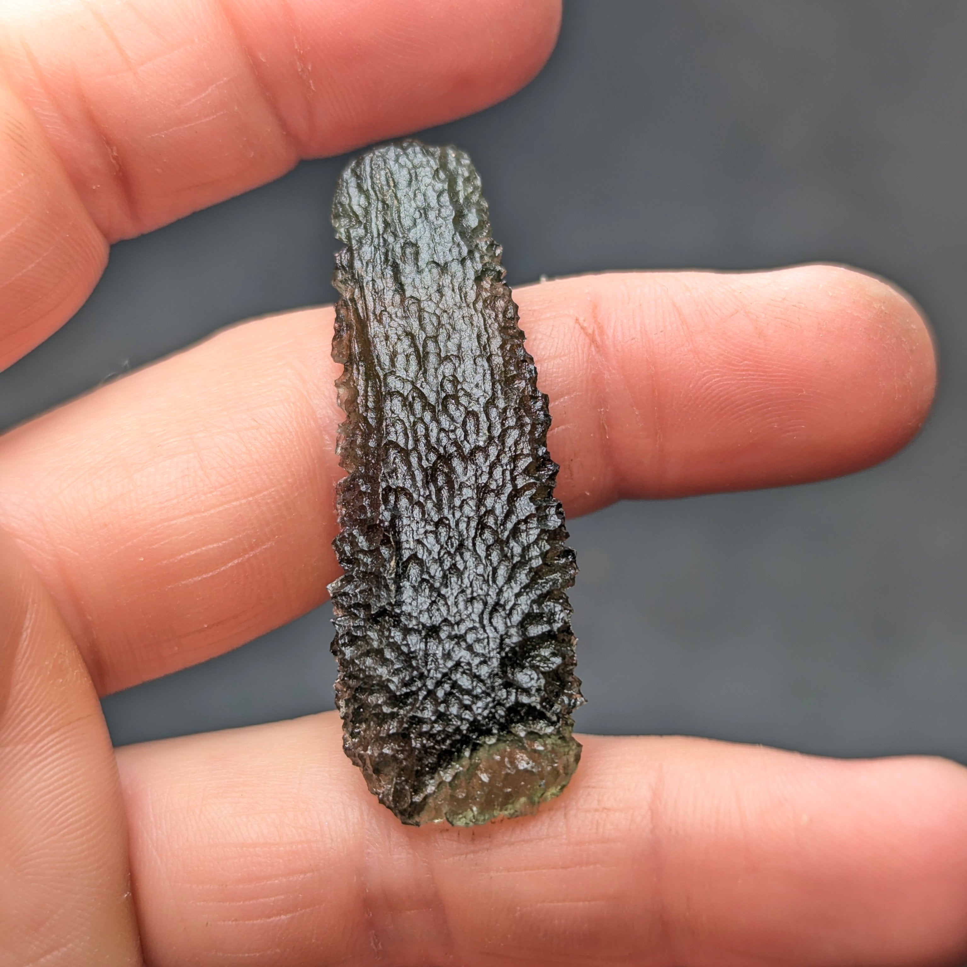 Natural Moldavite from the Malý Chlum locality in hand with exceptionally elongated shape, tree bark sculpture, pronounced etching, olive green translucency and authentic natural relief - front view.