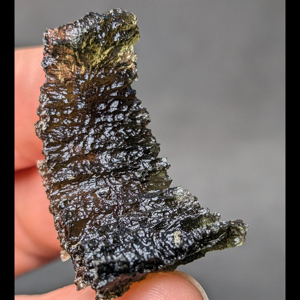 Rare “angel chime” Moldavite from the Olešnice locality in hand with thin hollow structure, sharp radial sculpture, golden green translucency and pointed natural relief - back side, zoom.