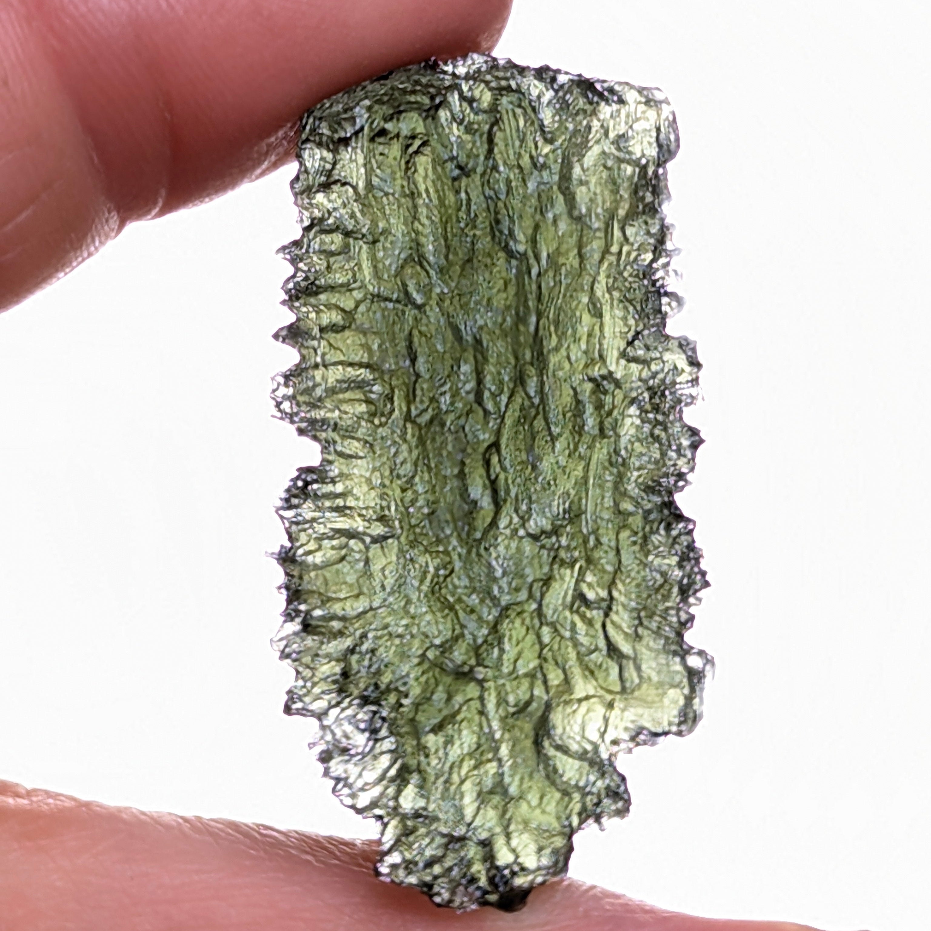 Natural Moldavite from the Dobrovská Lhotka – Bažina locality with rich sculpture, serrated edges, saturated olive green color and pronounced surface texture in hand - back side, natural transluency.