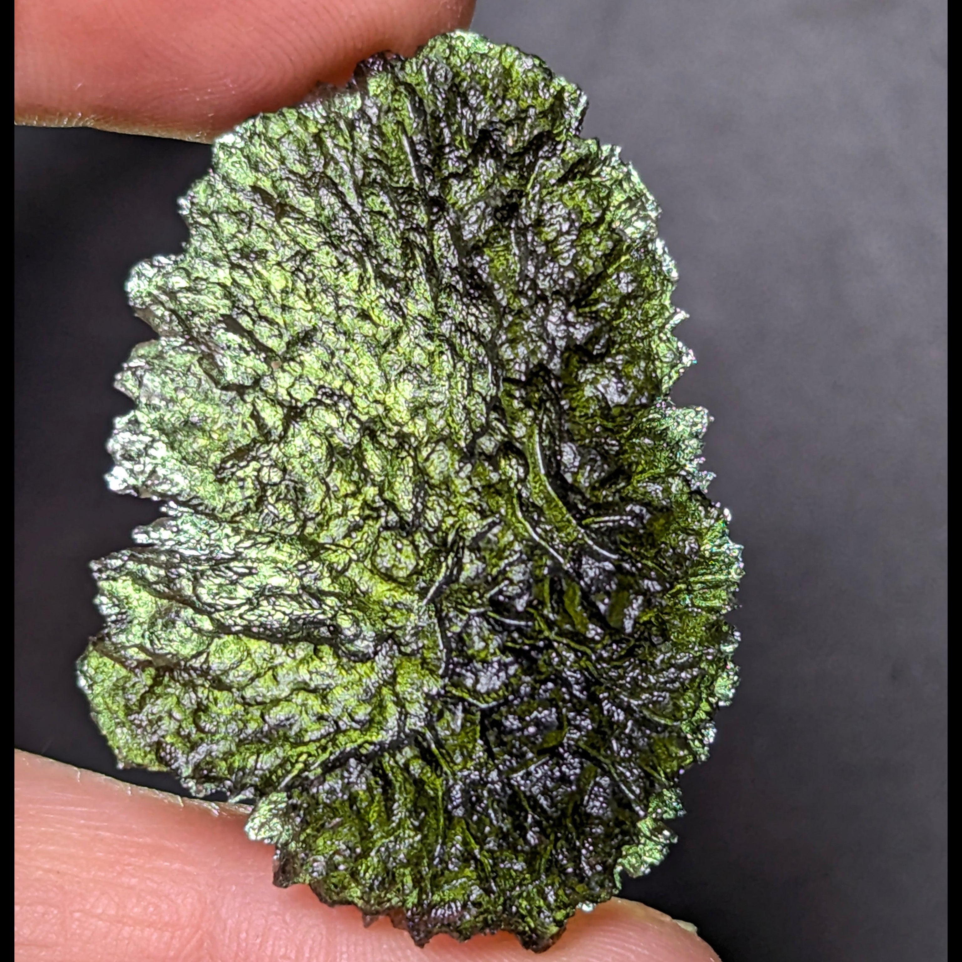 Natural Moldavite from the Olešnice locality with deep sharply sculpted texture, pronounced grooves, complex relief and contrasting green translucency in hand - front view, backlight.