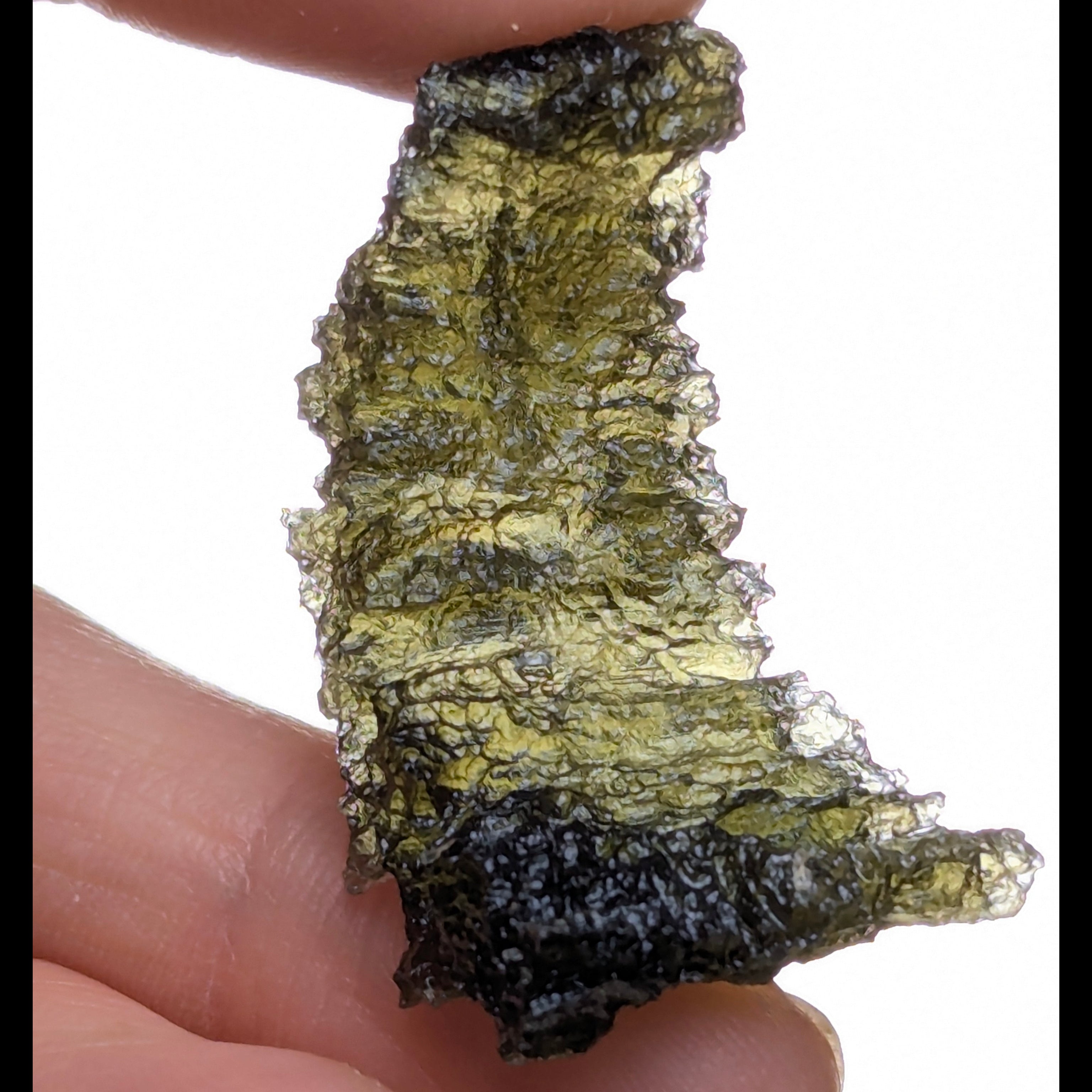 Rare “angel chime” Moldavite from the Olešnice locality in hand with thin hollow structure, sharp radial sculpture, golden green translucency and pointed natural relief - back side, backlight.