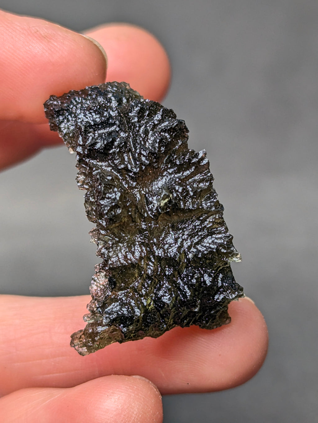 Rare “angel chime” Moldavite from the Olešnice locality in hand with thin hollow structure, sharp radial sculpture, golden green translucency and pointed natural relief - front view, zoom.