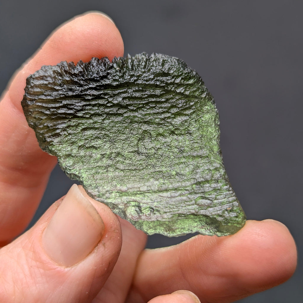 Natural Moldavite from the Olešnice locality with flat fan-like shape resembling a leaf, widening toward one edge and olive green translucency on white background - back side, backlight.