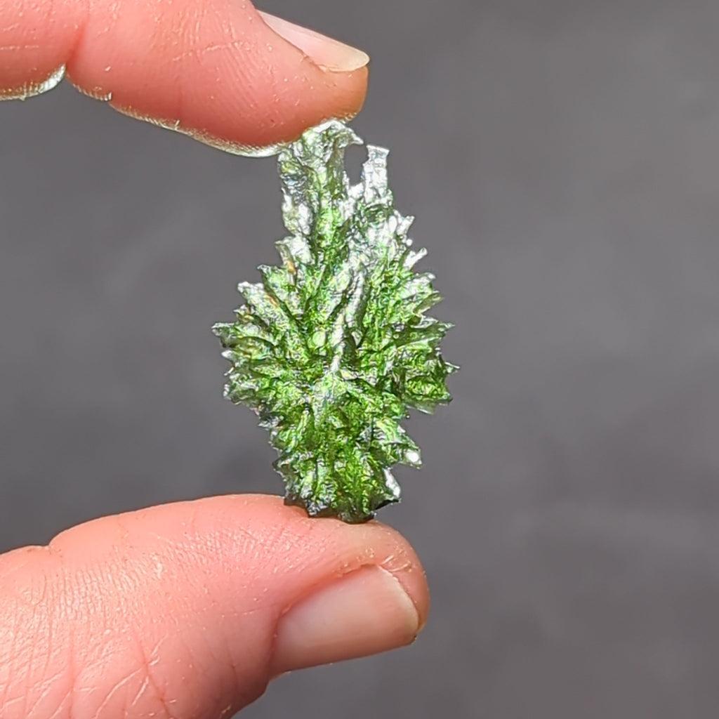 Natural Moldavite from the Besednice Ježkovna locality with sharp hedgehog sculpture, pronounced spikes and authentic natural relief. Weight 2.35 g - front view, backlight.