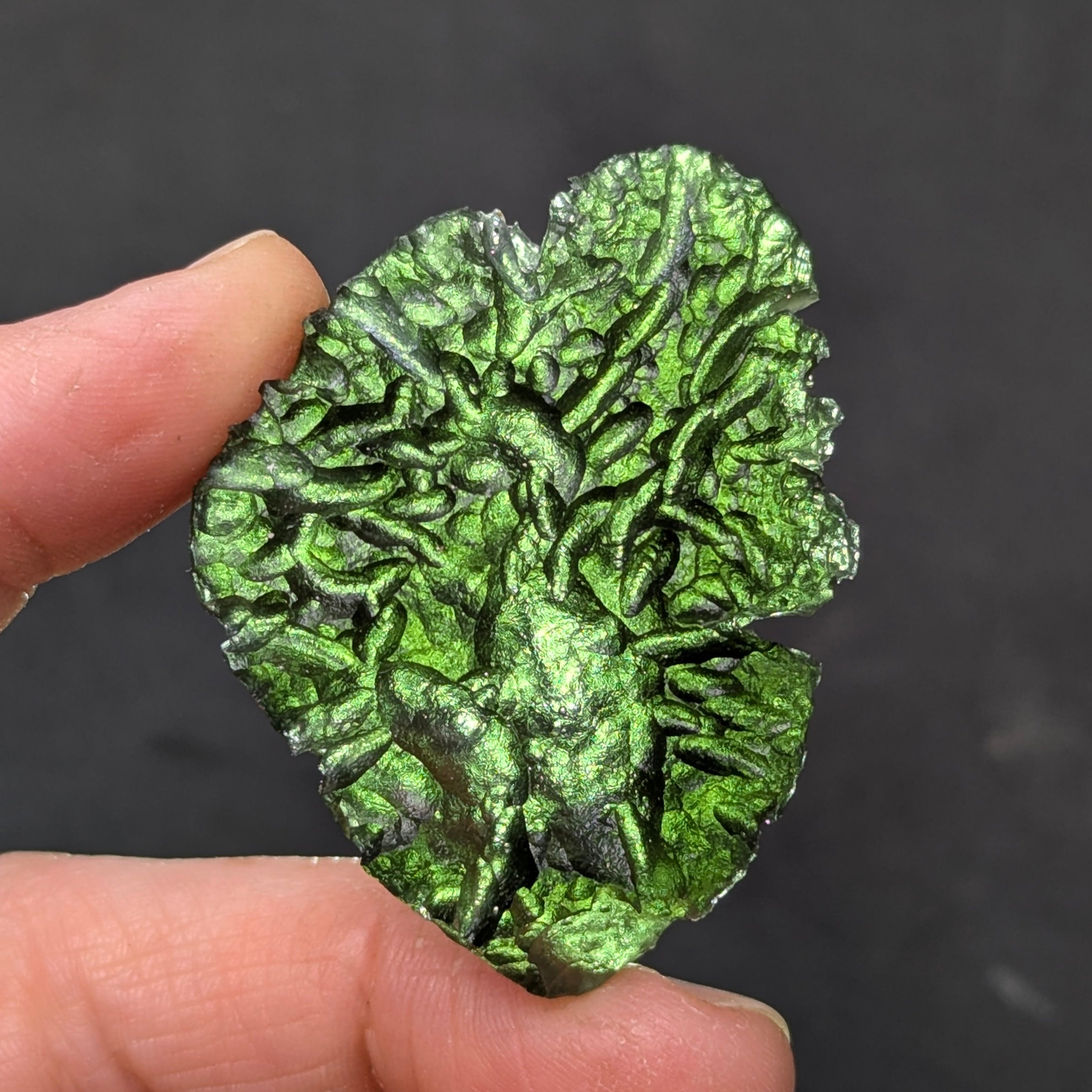 Natural Moldavite from the Besednice Ježkovna locality with pronounced hedgehog-like sculpture, deep radial relief and richly textured surface on white background - front view 2, backlight.