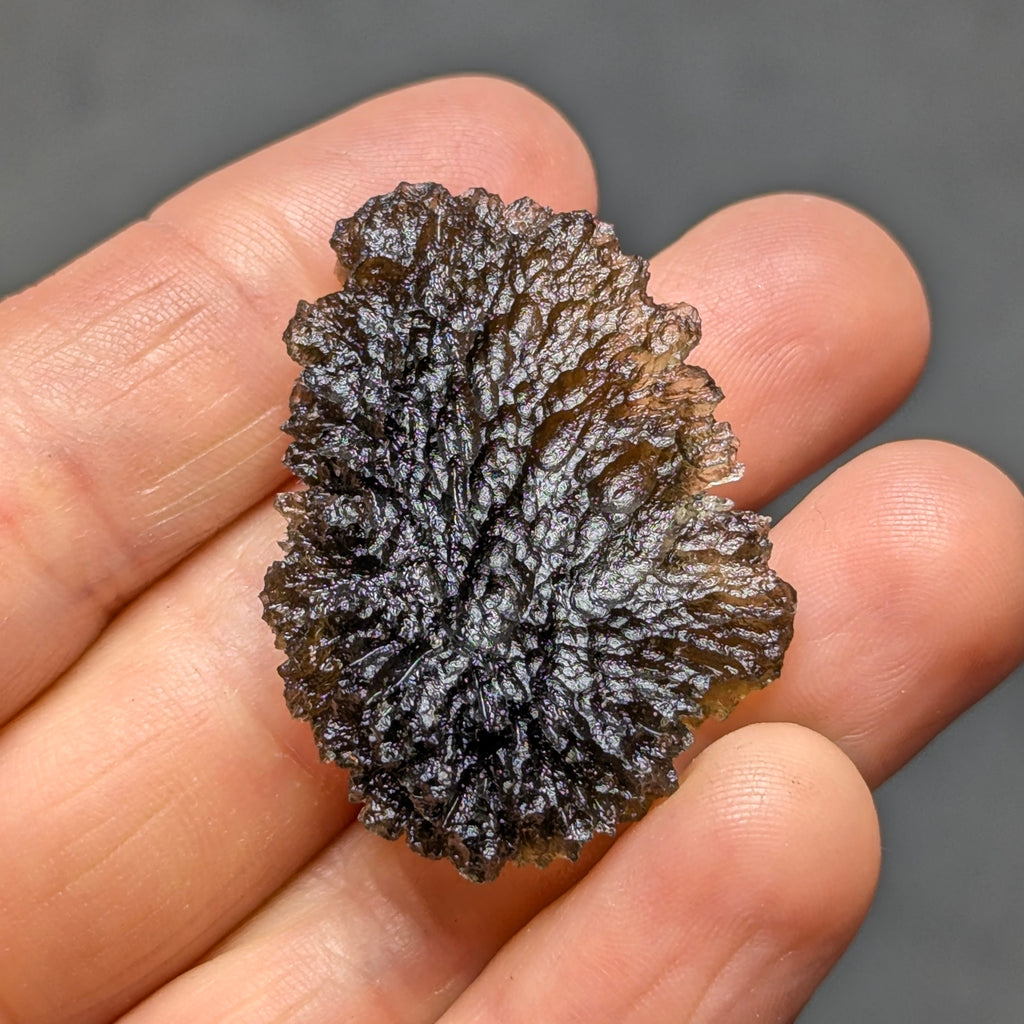 Natural Moldavite from the Olešnice locality with deep sharply sculpted texture, pronounced grooves, complex relief and contrasting green translucency in hand - back view.